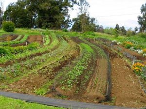 Four Benefits of Contour Farming