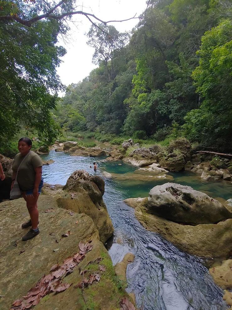 Maya Mountain Research Farm (Belize) river hike