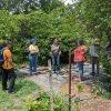 permaculture design course outdoor activity