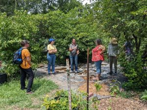 Upcoming Permaculture Teacher Training