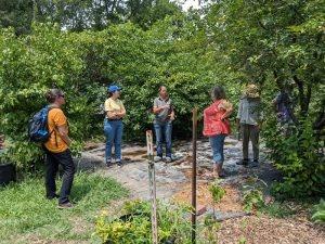 permaculture design course outdoor activity