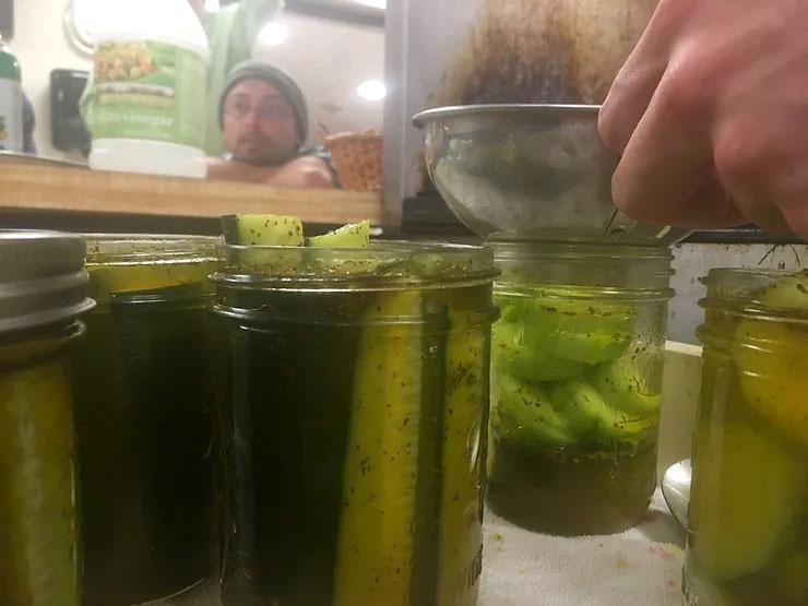 pickling cucumbers process