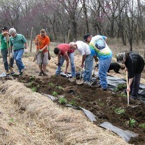 Summer Permaculture Design Course 2024